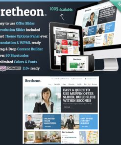 Bretheon WordPress Theme